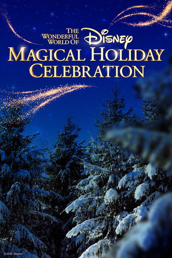The Wonderful World of Disney: Magical Holiday Celebration poster