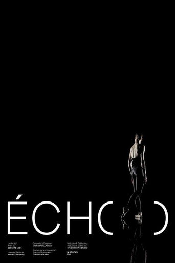 Movie poster for Écho