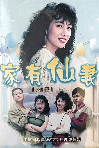 Series poster for 家有仙妻 (1991)
