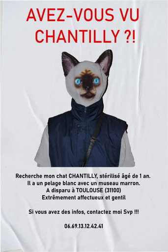 Movie poster for AVEZ-VOUS VU CHANTILLY ?! (2023)