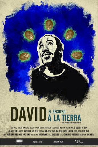 Movie poster for David. The Return to Land (2017)