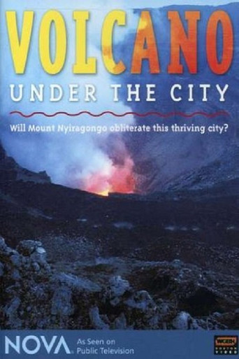 Nova: Volcano Under the City poster