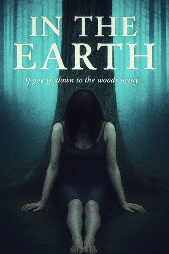 Movie poster for In The Earth