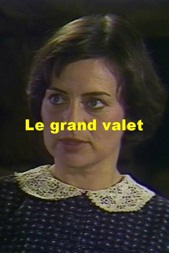 Movie poster for Le grand valet