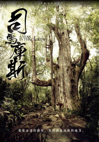 Movie poster for A Year in the Clouds (2011)
