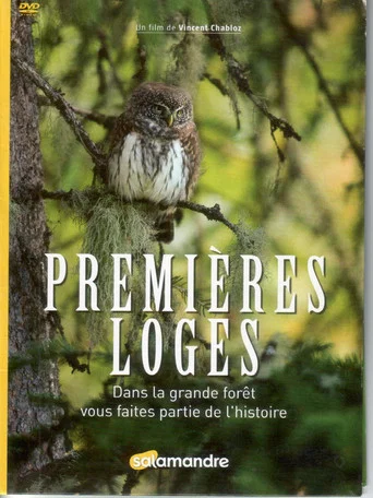 Movie poster for Premières Loges (2018)