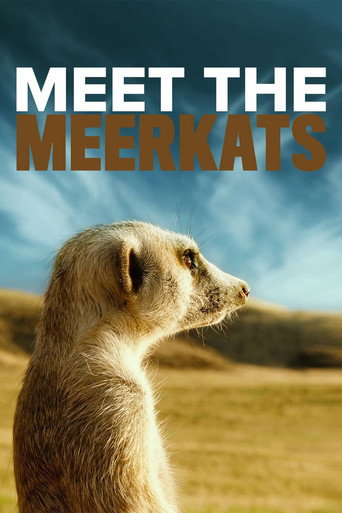 Movie poster for Meet the Meerkats (2022)