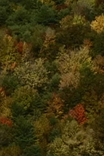 Movie poster for Color Study (2000)