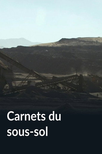 Movie poster for Carnets du sous-sol (2013)