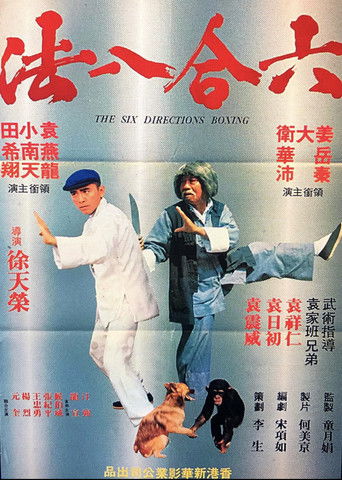 The Six Directions of Boxing poster