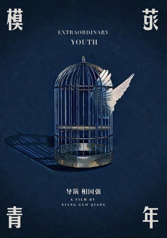 Movie poster for Extraordinary Youth