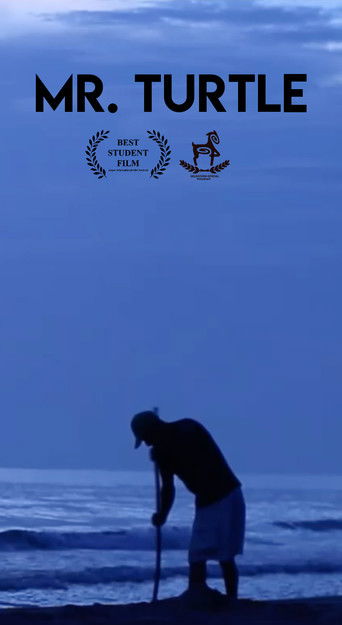 Mr. Turtle poster