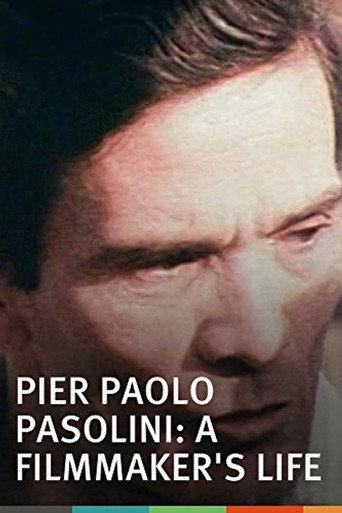 Movie poster for Pier Paolo Pasolini: A Film Maker's Life (1971)