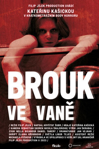 Bug in the Bathtub poster