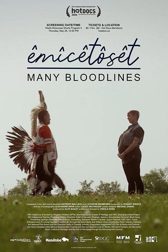 Movie poster for êmîcêtôsêt: Many Bloodlines (2020)