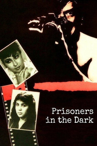 Prisoner in the Dark poster