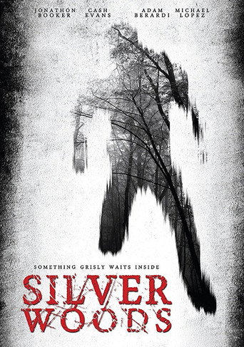 Movie poster for Silver Woods (2017)