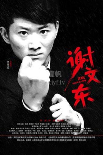 谢文东 poster