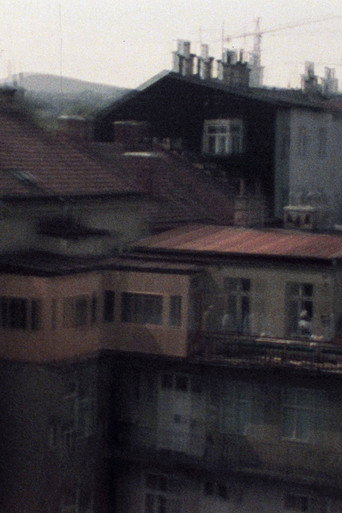Movie poster for 33/77 No Danube (1977)