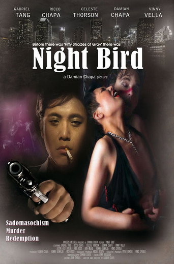 Movie poster for Night Bird