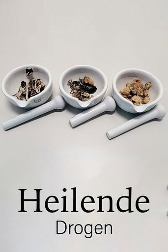 Movie poster for Drugs that Heal: Could Psychedelics Treat Depression? (2022)