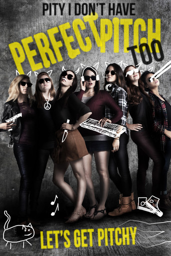 Movie poster for Pity I Don't Have Perfect Pitch Too (2017)