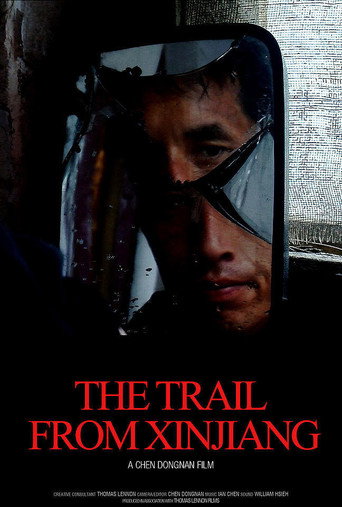 Movie poster for The Trail from Xinjiang (2013)