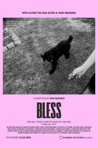 Movie poster for Bless (2026)