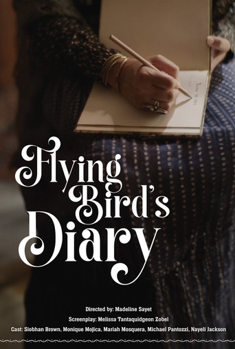 Movie poster for Flying Bird's Diary (2024)