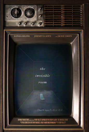 Movie poster for The Invisible Room (2024)