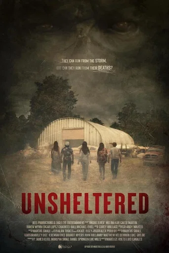 Movie poster for Unsheltered (2022)