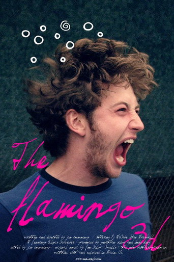 Movie poster for The Flamingo (2012)