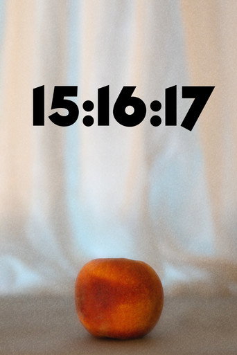 Movie poster for 15:16:17 (2018)