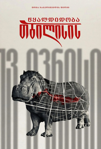 Movie poster for თბილისის წყალდიდობა (2013)