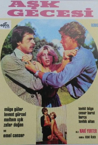 Movie poster for Aşk Gecesi (1979)
