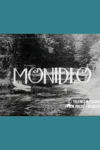 Movie poster for Monidło (1970)