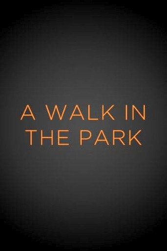 A Walk in the Park poster