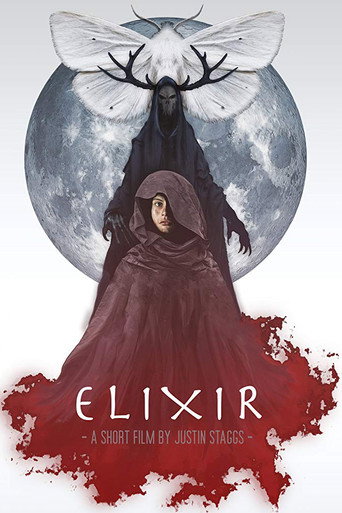 Movie poster for Elixir (2016)