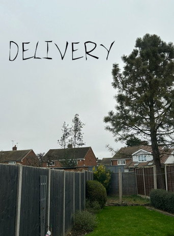 Movie poster for Delivery (2024)