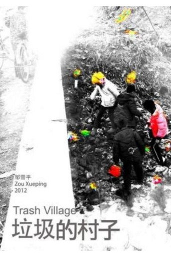 Movie poster for Trash Village (2013)