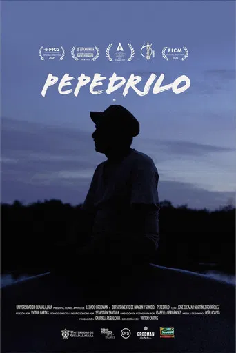 Pepedrilo poster