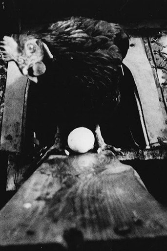 Movie poster for Robochick (1993)