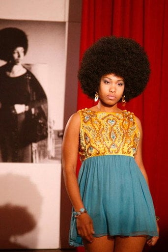 Movie poster for Afro Chic (2009)