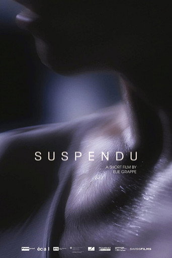 Movie poster for Suspendu (2015)