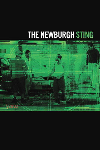 Movie poster for The Newburgh Sting (2014)