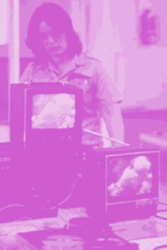 Movie poster for Not For Sale: Feminism and Art in the USA during the 1970s (1998)