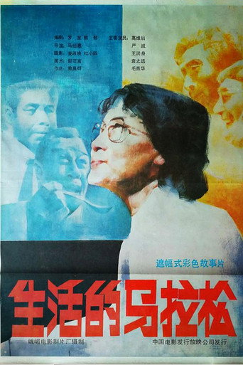 生活的马拉松 poster
