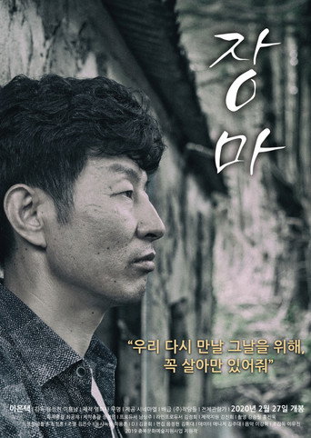 Movie poster for The Rainy Season (2020)