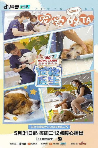 宠物医生 poster