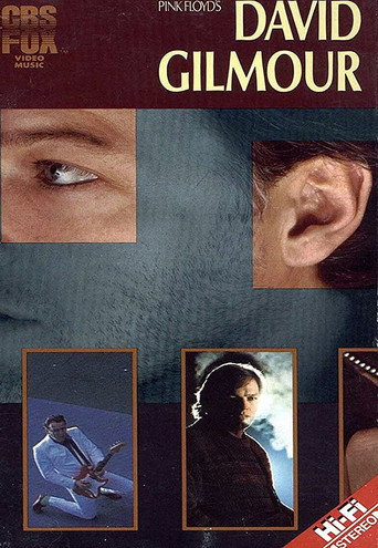 Movie poster for David Gilmour: Live 1984 (1984)